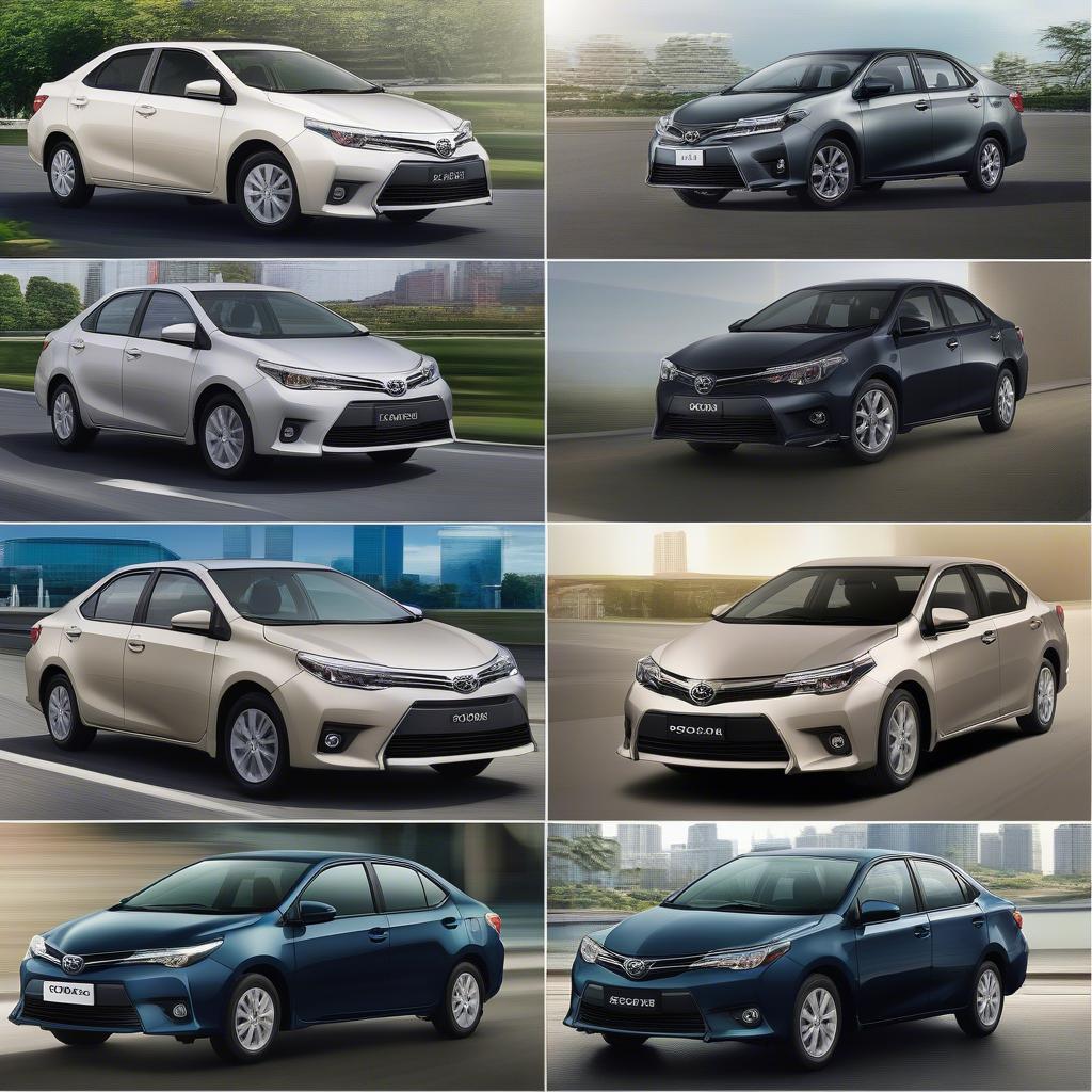 Các phiên bản Corolla Altis