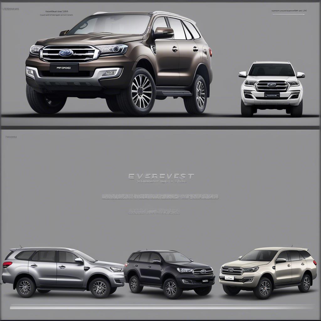 So sánh ngoại thất Ford Everest và Toyota Fortuner 2019